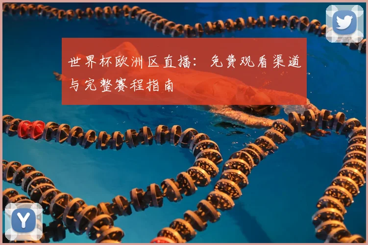 世界杯欧洲区直播：免费观看渠道与完整赛程指南