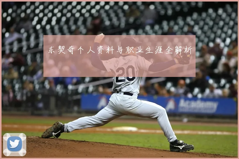 东契奇个人资料与职业生涯全解析