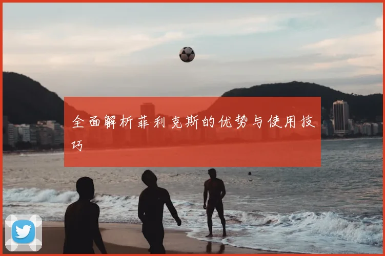 全面解析菲利克斯的优势与使用技巧